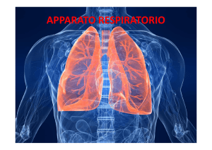 APPARATO RESPIRATORIO
