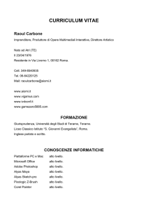 curriculum vitae raoul carbone 2013
