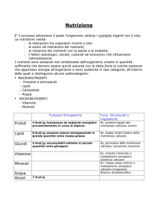 Nutrizione