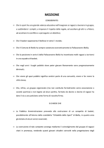 Costruzione Campetto di Basket