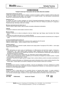 Scheda tecnica