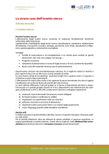 Lo strano caso dell`insetto stecco