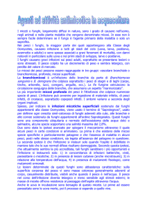 AGENTI AD ATTIVITA` ANTIMICOTICA IN ACQUACOLTURA