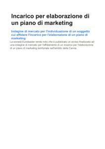 Incarico per elaborazione di un piano di marketing