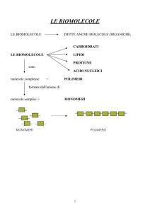 Le Biomolecole - iis castelnovo ne` monti