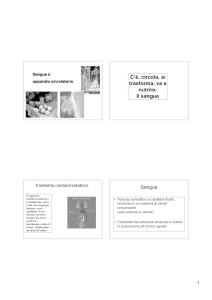 7. DidaBiol09