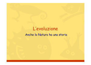 L`evoluzione - Liceo Torricelli