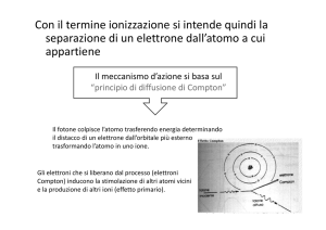 RADICALI LIBERI - vedi slide allegate