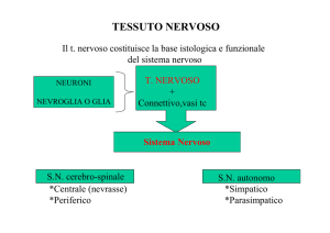 nervoso File - Progetto e
