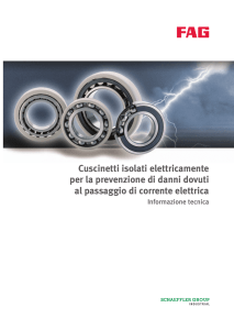 Cuscinetti isolati elettricamente per la prevenzione di danni dovuti al