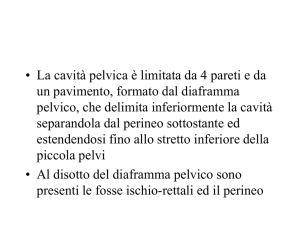 Nessun titolo diapositiva