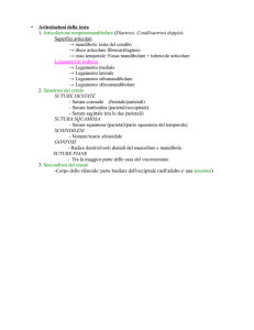 schemi articolazioni testa e colonna