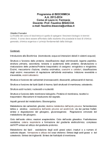 Biochimica - Dipartimento di Scienze (UNIBAS)