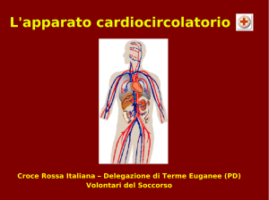 - C.R.I. Palmanova