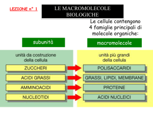 Presentazione di PowerPoint