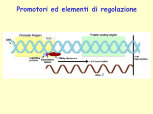 Presentazione di PowerPoint