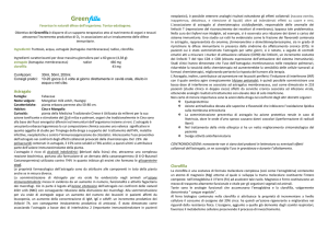 Greenfilla - dinamys sas