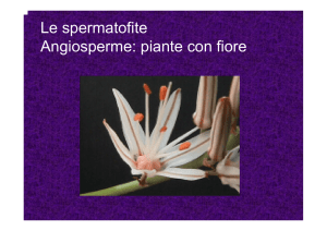Lezione VII