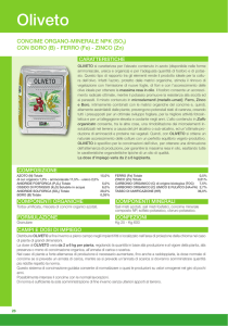 Oliveto - Agrimarca