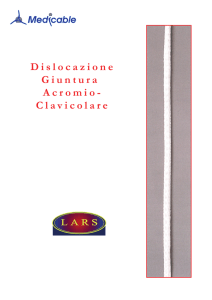 dislocazione giuntura acromio-clavicolare