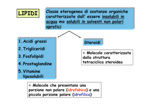 Diapositiva 1 - Docenti.unina