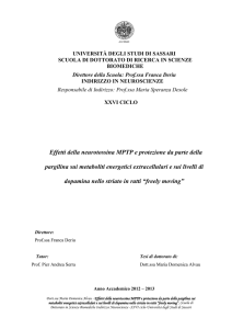 Effetti della neurotossina MPTP e protezione da parte della pargilina