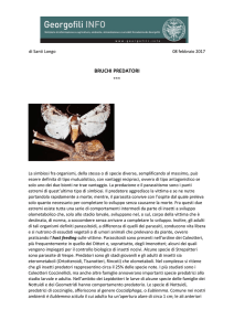 BRUCHI PREDATORI - Georgofili INFO