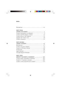 Indice Introduzione