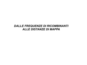 Associazione 3