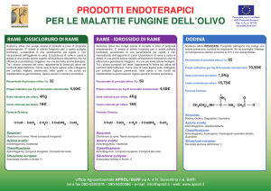 PRODOTTI ENDOTERAPICI PER LE MALATTIE FUNGINE DELL