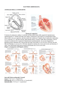 Elettrocardiografia e morte improvvisa