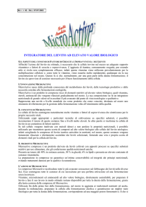 integratore del lievito ad elevato valore biologico