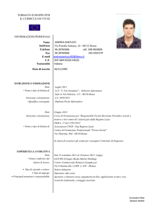 Curriculum Vitae Andrea Santucci