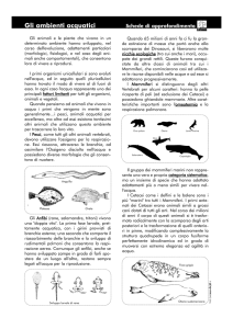 Gli ambienti acquatici