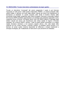 10. ONCOLOGIA: Trovato interruttore antimetastasi ad ampio spettro