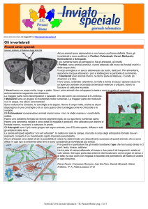 Stampa articolo