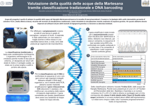 Poster realizzato dai ragazzi del Marconi
