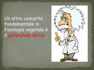 lezioni gruppo 3 potenziale idrico - Didattica