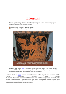 I Dioscuri