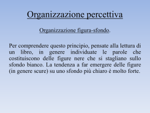 05 la percezione