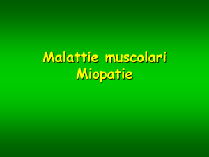 neuropatie miopatie