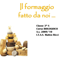 Il formaggio fatto da noi