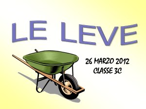 leve - webroom