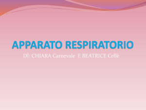APPARATO RESPIRATORIO