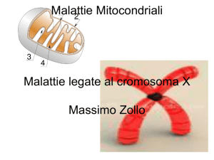 Malattie Mitocondriali-X-linked