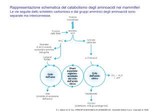 i principi di biochimica di lehninger 4/e - FISIOTERAPIA