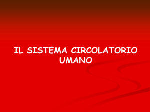 Sistema cardiocircolatorio