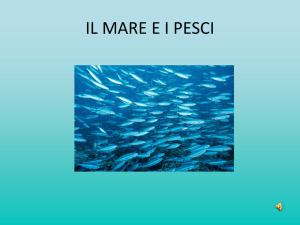 Diapositiva 1 - Progetto Scuola
