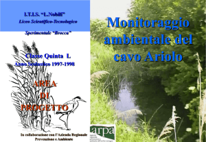 Ariolo