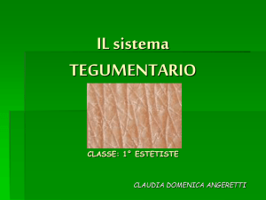 il tessuto tegumentario